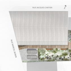 Plan masse paysager